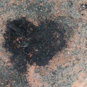 Meet your Posher, Sandy